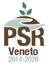 PSR Veneto